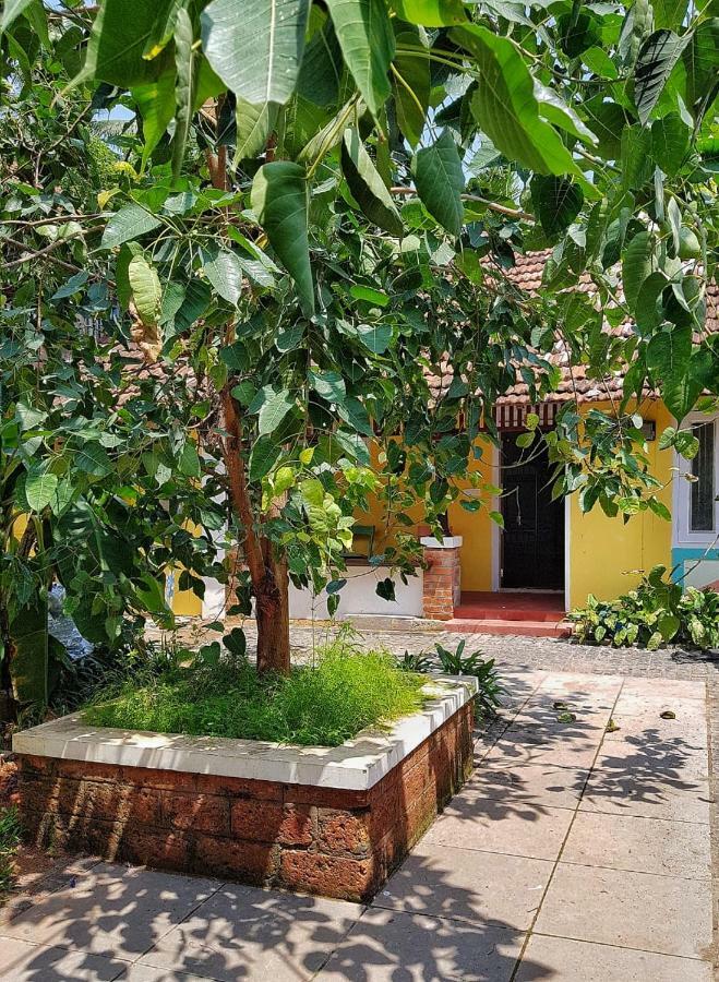 Design Ashram Vandrarhem Kozhikode Exteriör bild